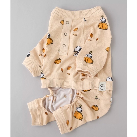 AE Peanuts Snoopy Dog Pajamas Pumpkin - Picture 1 of 4